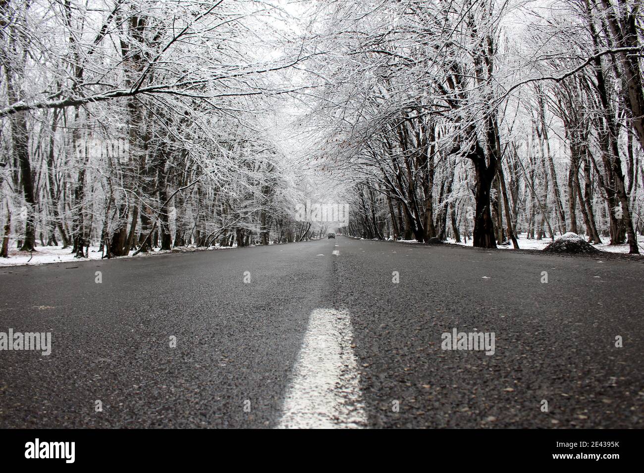Strada innevata in inverno. Colori della natura in bianco e nero. Strada forestale innevata. Gabala - Azerbaigian Foto Stock