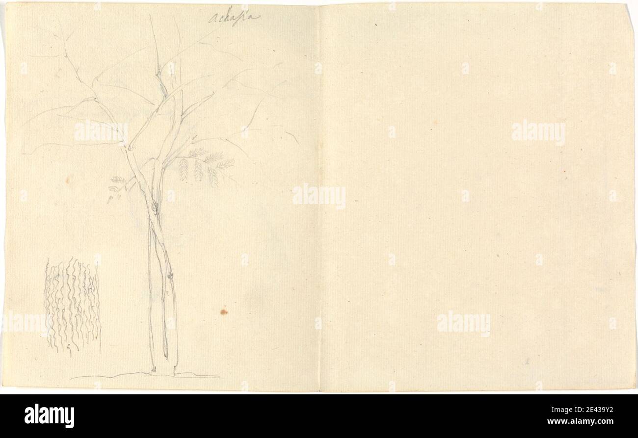 Luigi Balugani, 1737â–1770, Italiano, Accasia (Acacia), non ondeggiato. Grafite su carta media, moderatamente testurizzata, crema posata. Mele , corteccia , frutta , alberi Foto Stock Luigi Balugani, 1737â–1770, Italiano, Accasia (Acacia), non ondeggiato. Grafite su carta media, moderatamente testurizzata, crema posata. Mele , corteccia , frutta , alberi Foto Stock