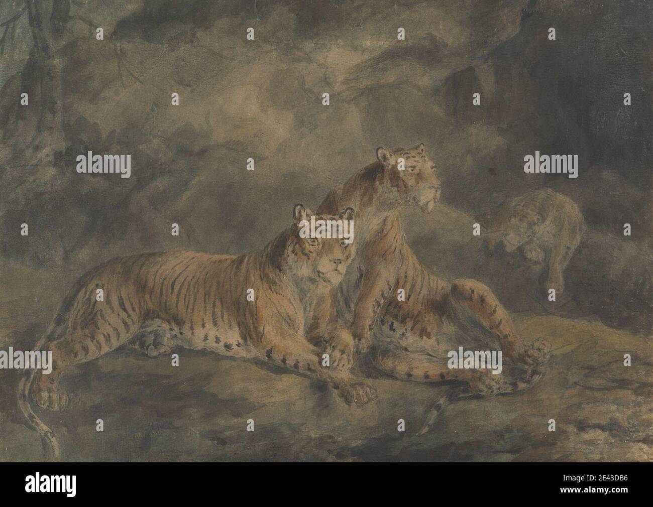 Sawrey Gilpin, 1733â–1807, inglese, tre tigri in un paesaggio roccioso, senza oggetto. Acquerello e grafite su carta wove di spessore moderato, moderatamente testurizzata, beige. Arte animale Foto Stock