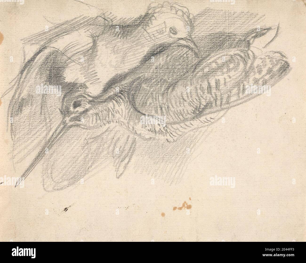 Sawrey Gilpin, 1733â–1807, British, Study of a Dead Woodcock and another Bird, Undated. Grafite su carta media, leggermente testurizzata, crema wove. Arte animale , uccello , morto , studio (lavoro visivo) Foto Stock Sawrey Gilpin, 1733â–1807, British, Study of a Dead Woodcock and another Bird, Undated. Grafite su carta media, leggermente testurizzata, crema wove. Arte animale , uccello , morto , studio (lavoro visivo) Foto Stock