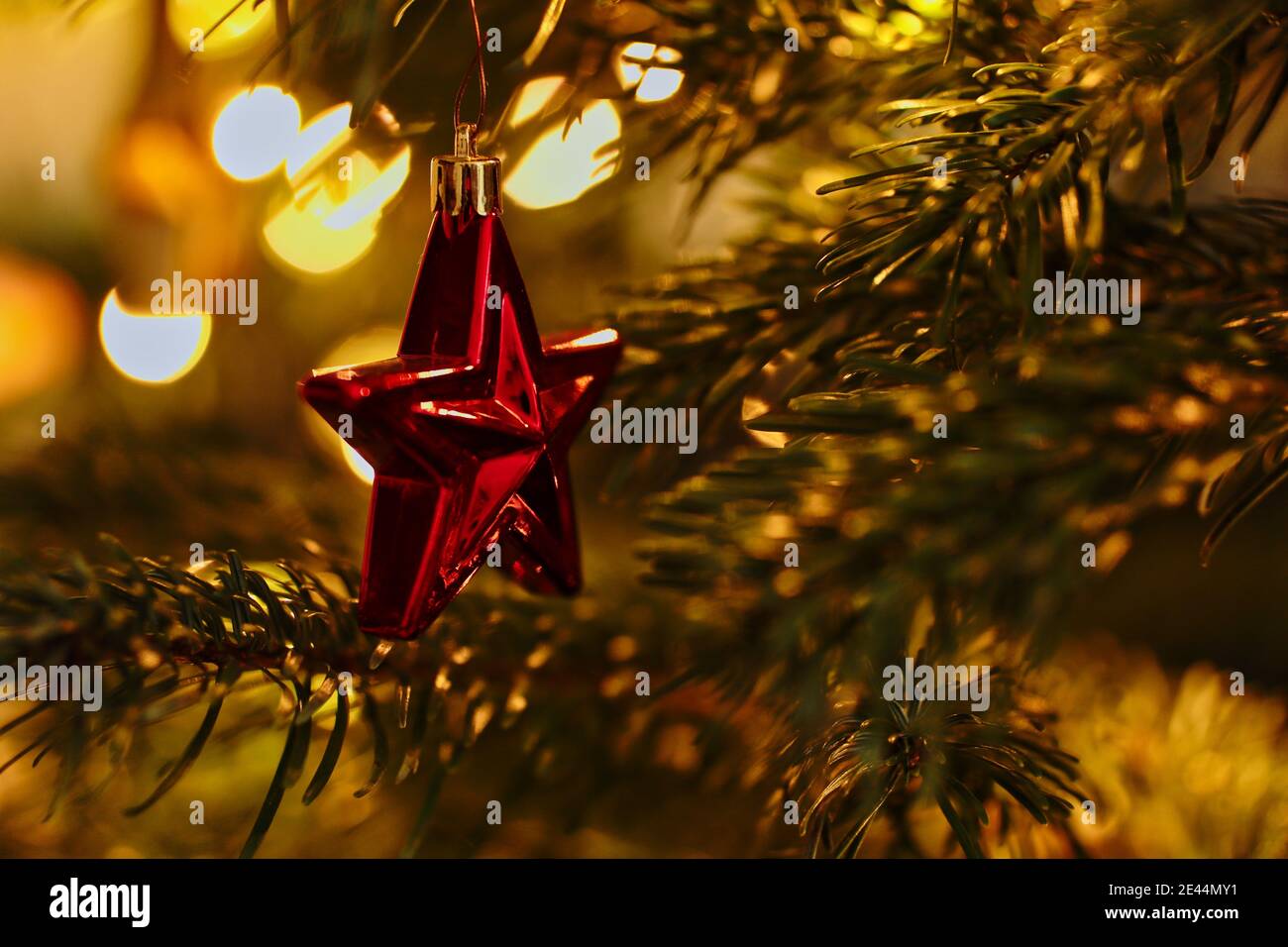 Appendere Red Christmas Star Ornament su Tree Branch durante le feste. L'ornamento della stella lucida sull'albero di Natale. Foto Stock