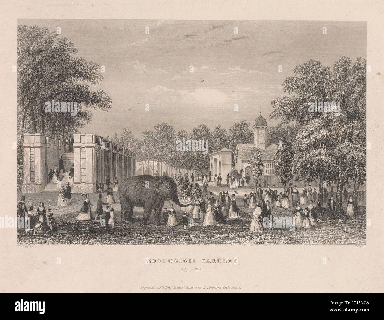 William le Petit, inizio del 1800, giardini zoologici, Regent's Park. Incisione. Foto Stock