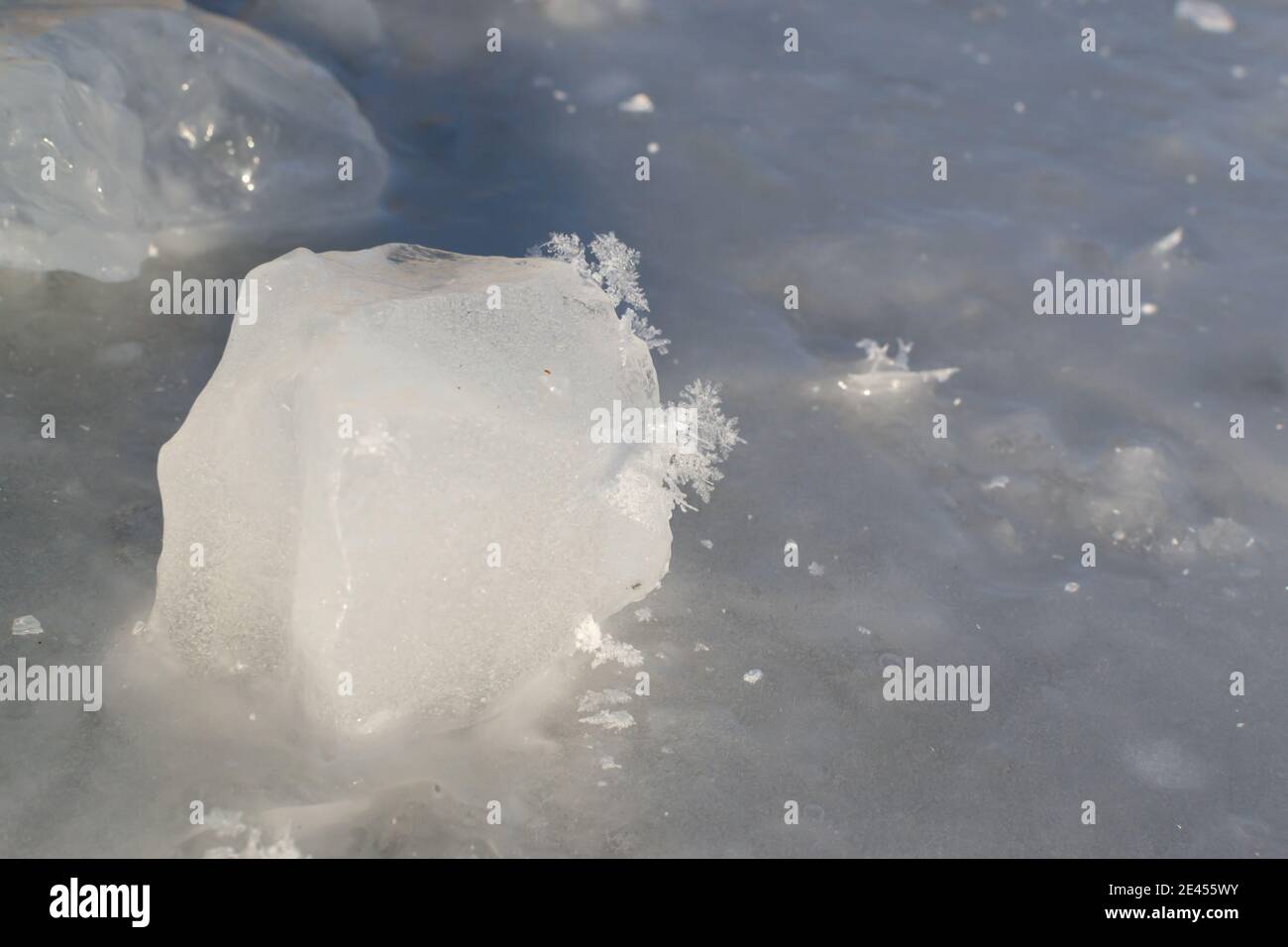 Diversi fiocchi di neve su un pezzo di ghiaccio su un fiume ghiacciato. Primo piano. Orientamento orizzontale. Spazio di copia. Foto Stock