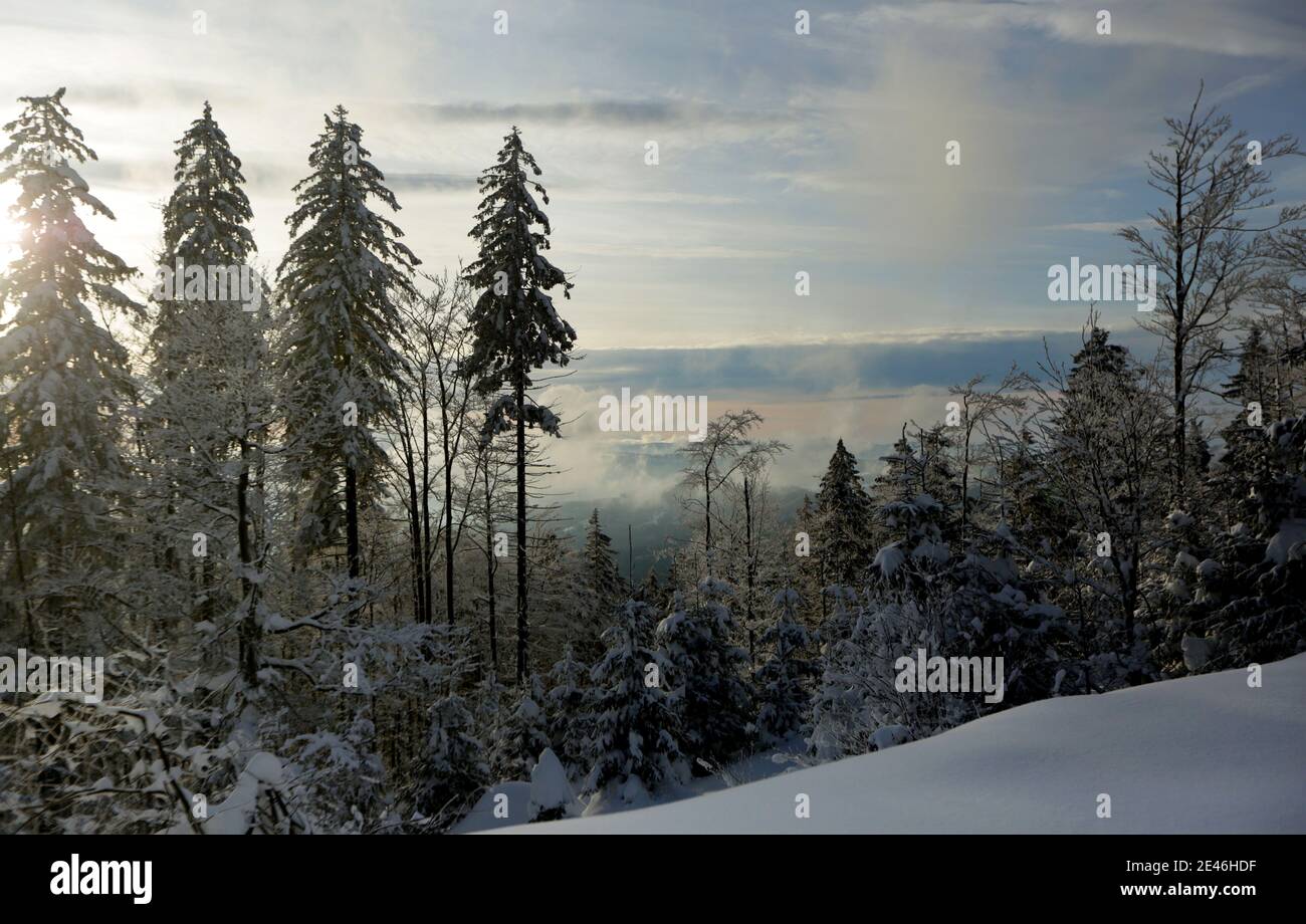 Un bell'inverno nei Beskids della Slesia. Il sentiero sulla Malinowska Skala Malinowska Skala - una vetta tropicale nella dorsale principale della Barania Gora Foto Stock