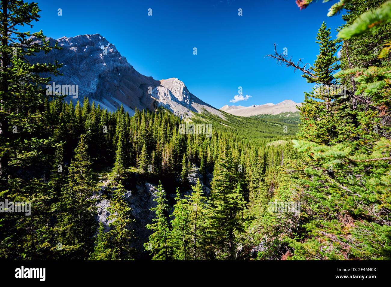 Il Parco Nazionale di Banff Foto Stock