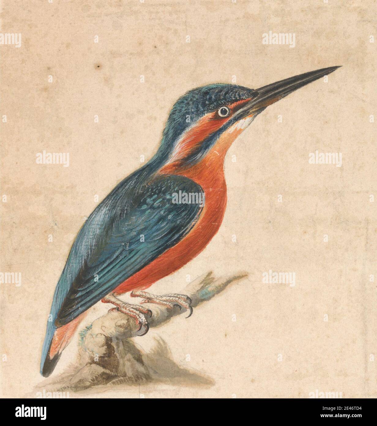 Thomas Atwood, ca. 1761–1766, britannico, un Kingfisher, non datato. Acquerello, gouache, e penna e inchiostro marrone su carta di wove crema moderatamente spessa, testurizzata poco, arte animale , uccello , rami , Coraciiformes (ordine) Foto Stock Thomas Atwood, ca. 1761–1766, britannico, un Kingfisher, non datato. Acquerello, gouache, e penna e inchiostro marrone su carta di wove crema moderatamente spessa, testurizzata poco, arte animale , uccello , rami , Coraciiformes (ordine) Foto Stock