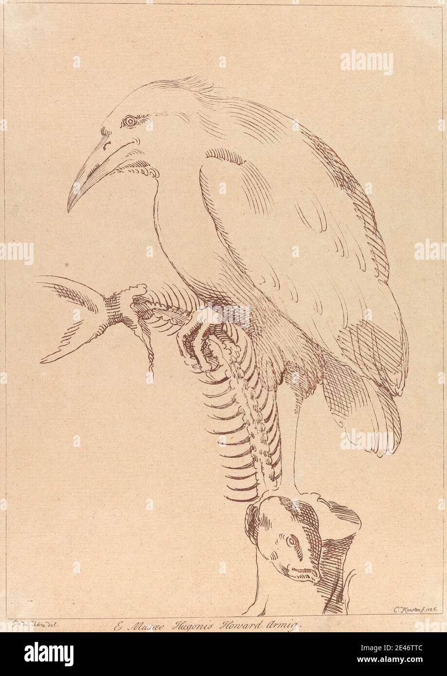 George Knapton, 1698–1778, inglese, senza titolo: Scheletro di pesci che tengono gli uccelli, 1740. Dominio pubblico Foto Stock George Knapton, 1698–1778, inglese, senza titolo: Scheletro di pesci che tengono gli uccelli, 1740. Dominio pubblico Foto Stock