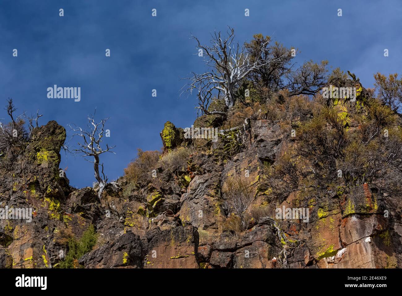 Guardando nella Big Indian Gorge scolpita in glaciale su Steens Mountain, Oregon, Stati Uniti Foto Stock
