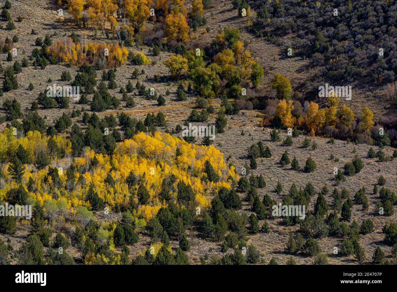 Guardando nella Big Indian Gorge scolpita in glaciale su Steens Mountain, Oregon, Stati Uniti Foto Stock