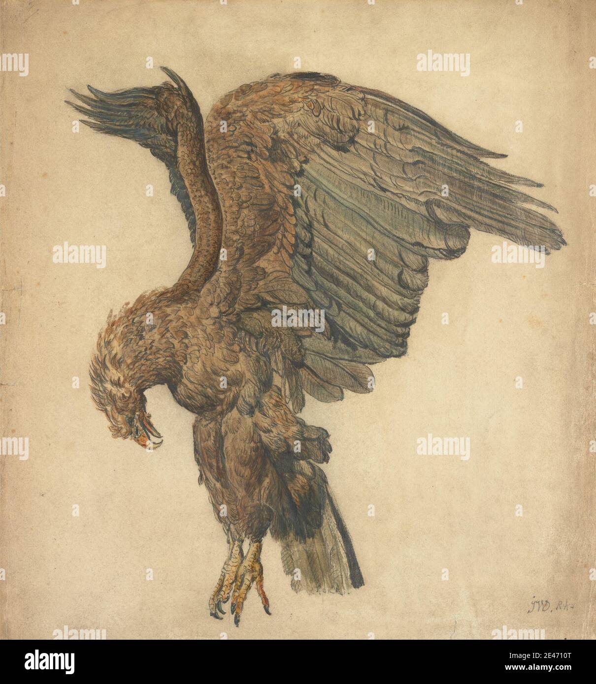 James Ward, 1769–1859, inglese, Study of a Puncing Eagle, undated. Vernice su grafite e acquerello su carta media, leggermente testurizzata, wove beige. Animale , uccello , studio della natura , scienza , arte sportiva Foto Stock James Ward, 1769–1859, inglese, Study of a Puncing Eagle, undated. Vernice su grafite e acquerello su carta media, leggermente testurizzata, wove beige. Animale , uccello , studio della natura , scienza , arte sportiva Foto Stock