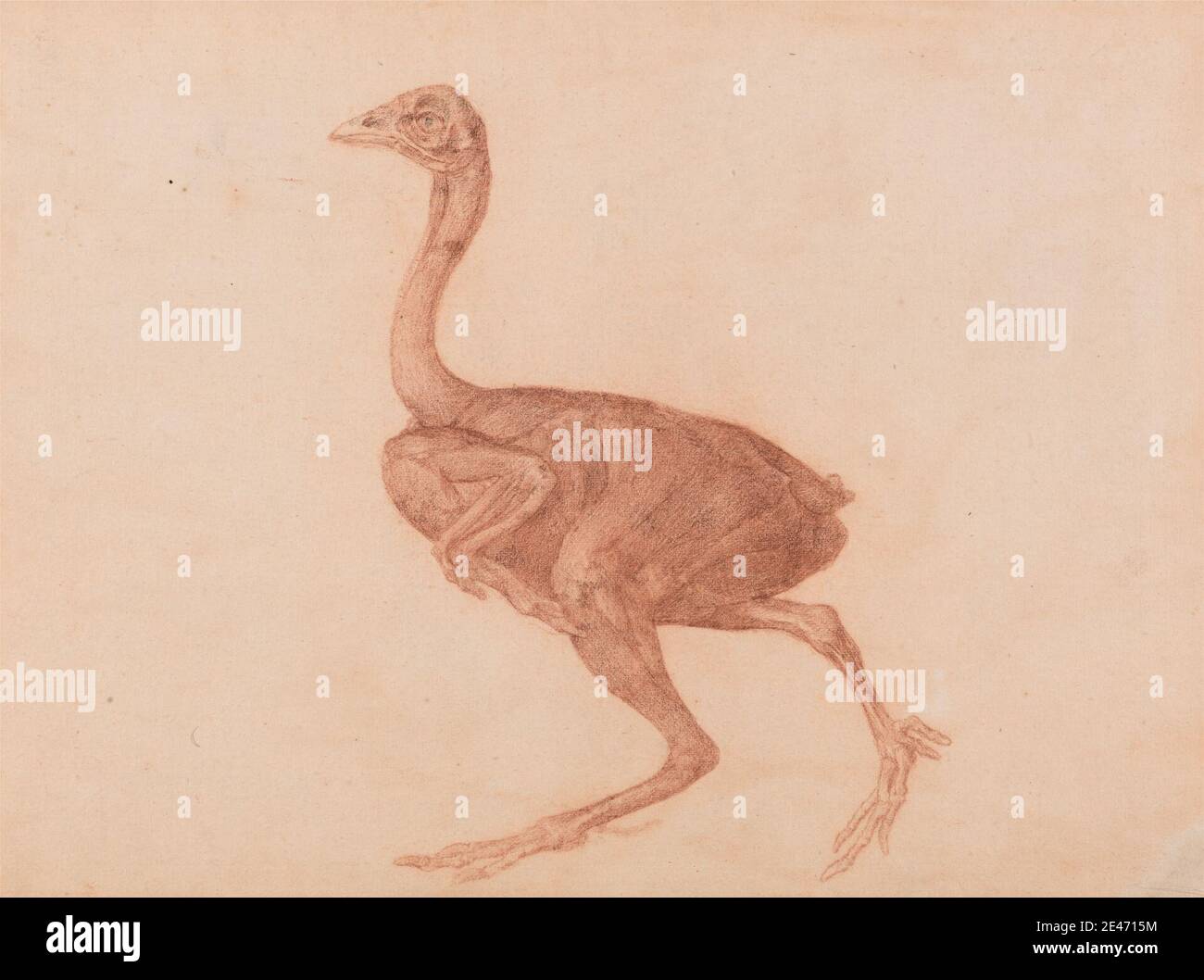 George Stubbs, 1724–1806, British, Dorking Hen, Lateral View, 1795–1806. Gesso rosso e nero su carta di wove crema sottile, leggermente testurizzata, deposta su carta di wove pesante, media, leggermente testurizzata. Studio anatomico , anatomia , uccello , studio figurativo , studio (lavoro visivo) Foto Stock George Stubbs, 1724–1806, British, Dorking Hen, Lateral View, 1795–1806. Gesso rosso e nero su carta di wove crema sottile, leggermente testurizzata, deposta su carta di wove pesante, media, leggermente testurizzata. Studio anatomico , anatomia , uccello , studio figurativo , studio (lavoro visivo) Foto Stock