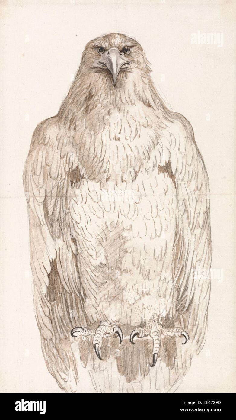 Artista sconosciuto, Eagle on a Perch, ca. 1800. Penna, in inchiostro marrone, inchiostro nero, grafite, e lavaggio marrone su carta media, leggermente testurizzata, crema, posata italiana. Piume , studio figura , testa , talloni Foto Stock Artista sconosciuto, Eagle on a Perch, ca. 1800. Penna, in inchiostro marrone, inchiostro nero, grafite, e lavaggio marrone su carta media, leggermente testurizzata, crema, posata italiana. Piume , studio figura , testa , talloni Foto Stock