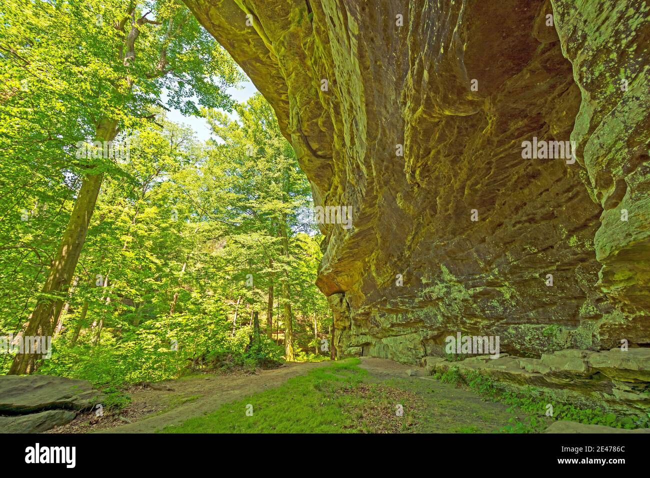 Grotta di arenaria in una foresta verdeggiante sul Rim Rock Trail nella Shawnee National Forest in Illinois Foto Stock