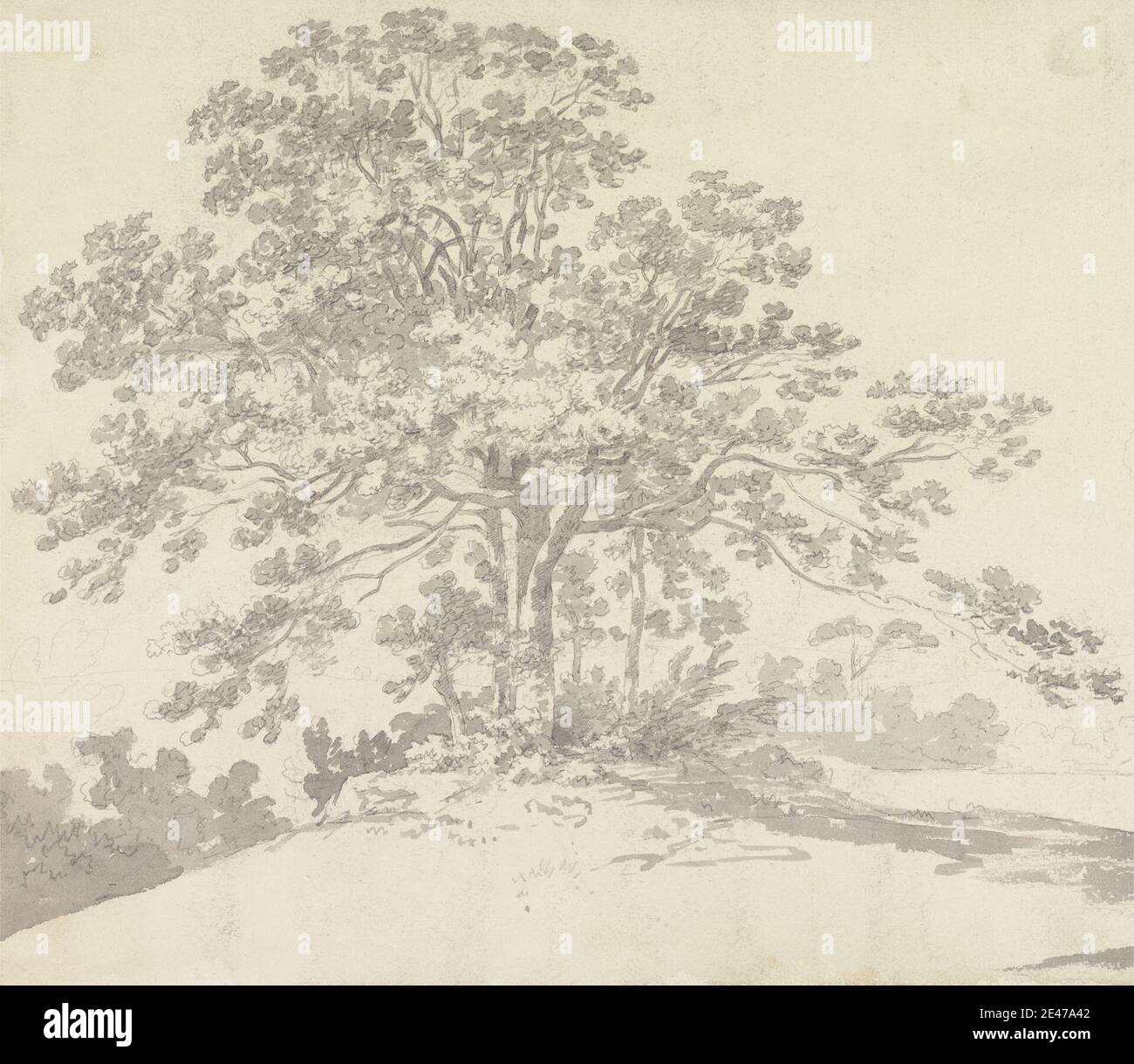 Sir George Howland Beaumont 7nd Baronet, 1753–1827, inglese, albero, 1790 s. Grafite e grigio lavano su carta di wove crema leggermente spessa, leggermente testurizzata. Paesaggio , albero Foto Stock