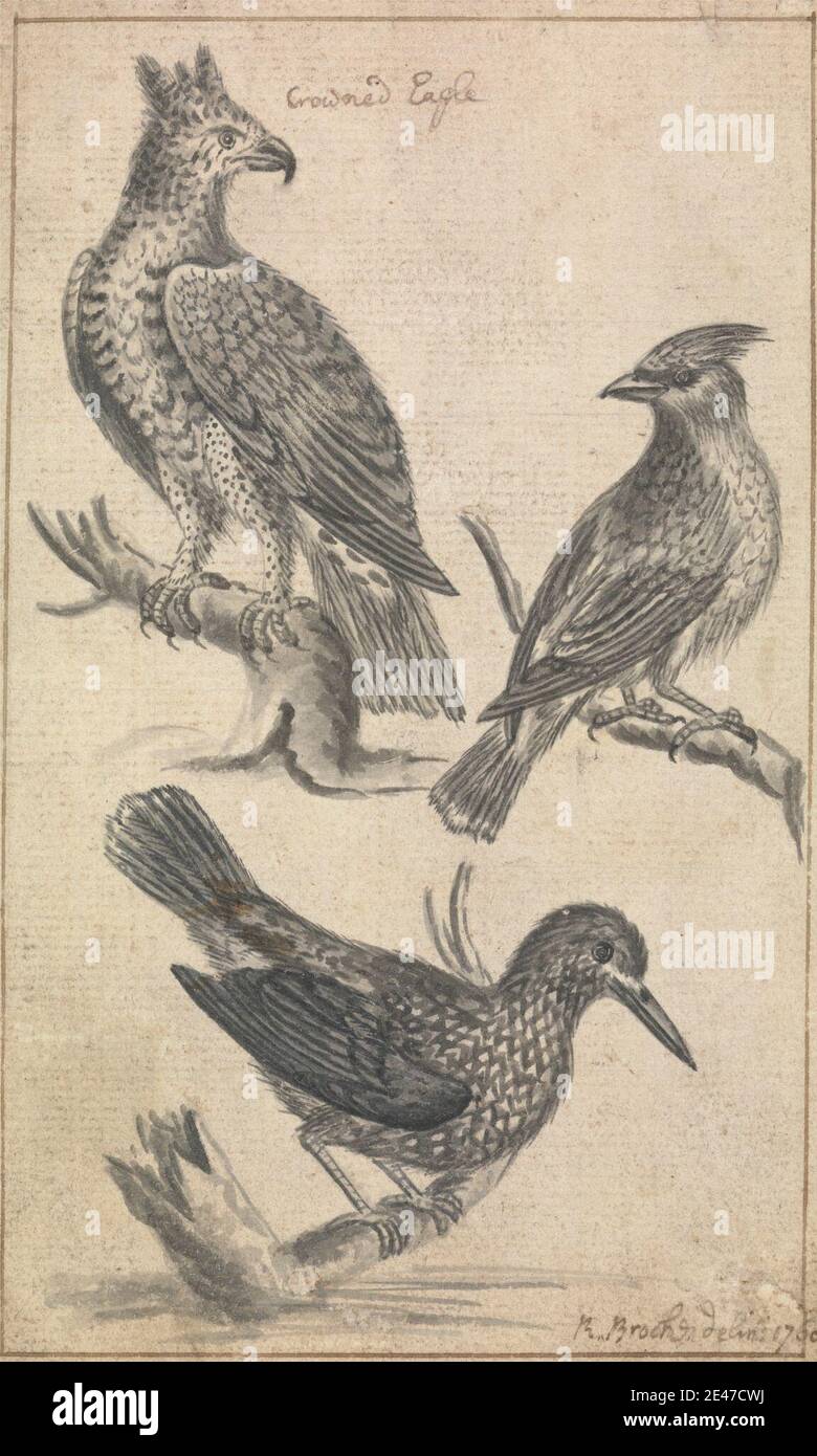Richard Brookes, 1721–1763, incoronata Aquila e due Uccelli, 1760. Penna e inchiostro nero con lavaggio grigio su carta media, leggermente testurizzata, crema posata montata su carta media, leggermente testurizzata, crema di wove. Arte animale , uccelli , rami , aquile (uccelli) Foto Stock