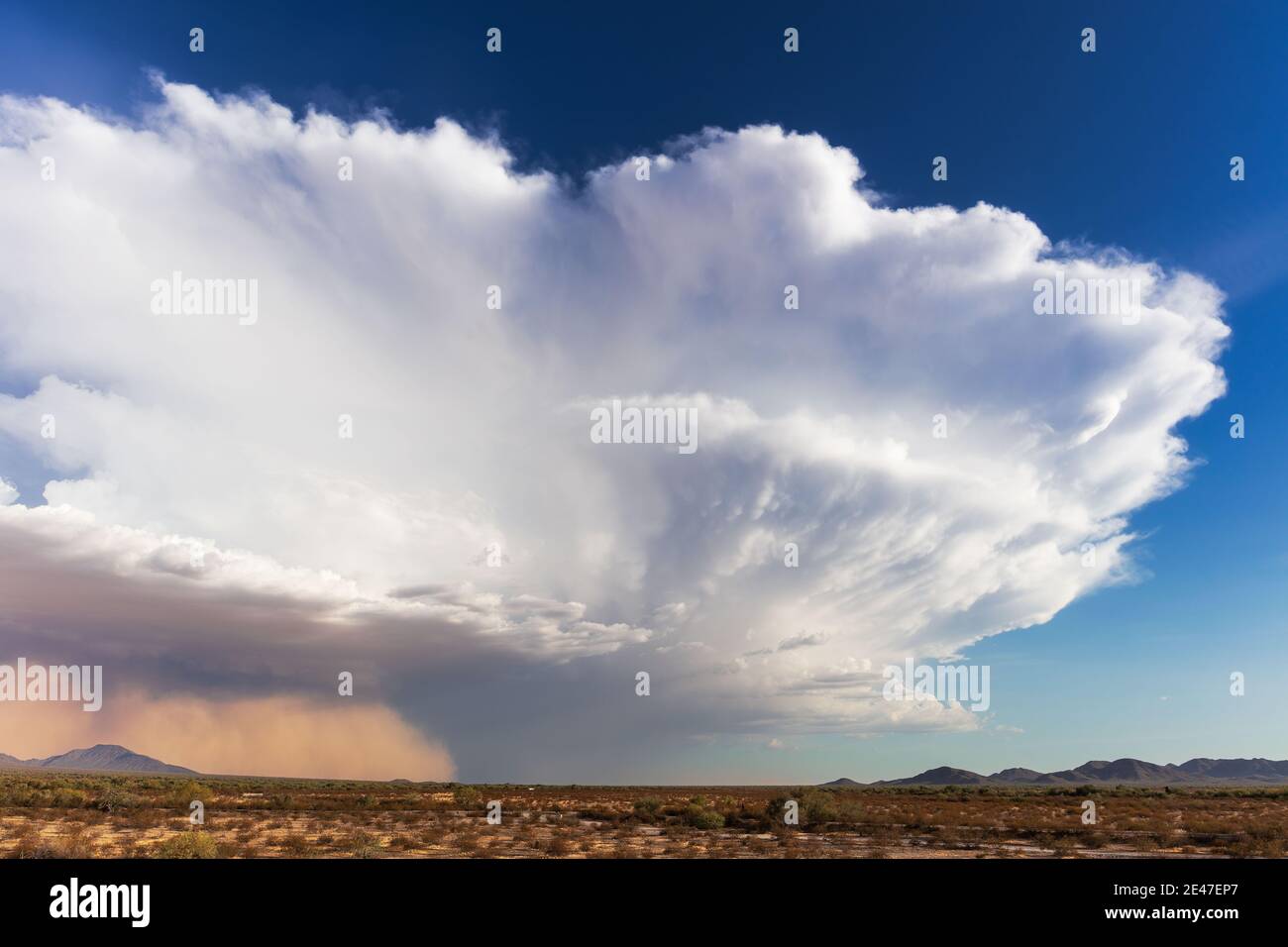 Thunderstorm cumulonimbus nube sopra una tempesta di polvere haboob nel deserto vicino Stanfield, Arizona, USA Foto Stock