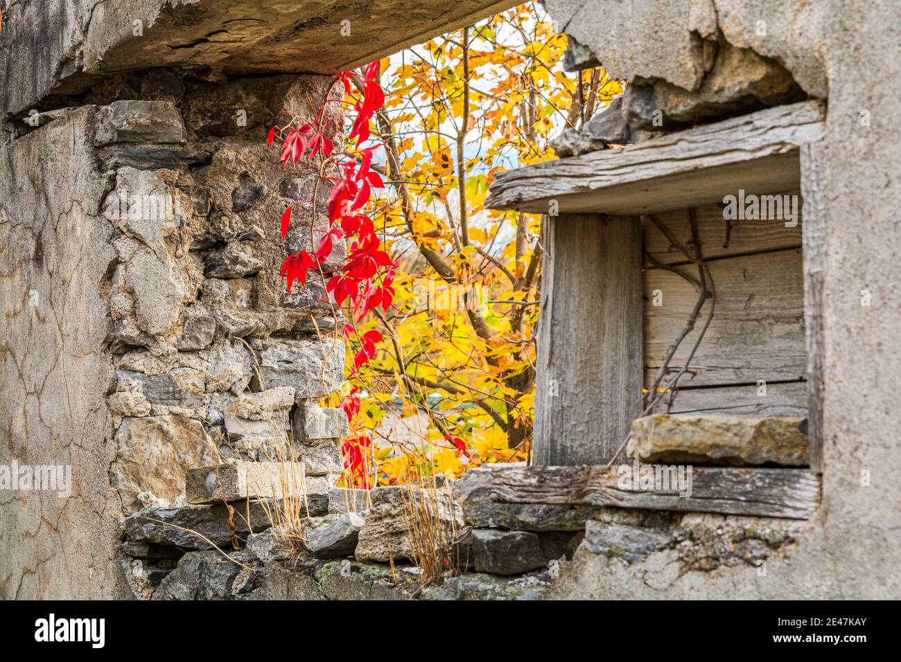 Rovine di Old Mill Campbellford Ontario Canada in autunno Foto Stock