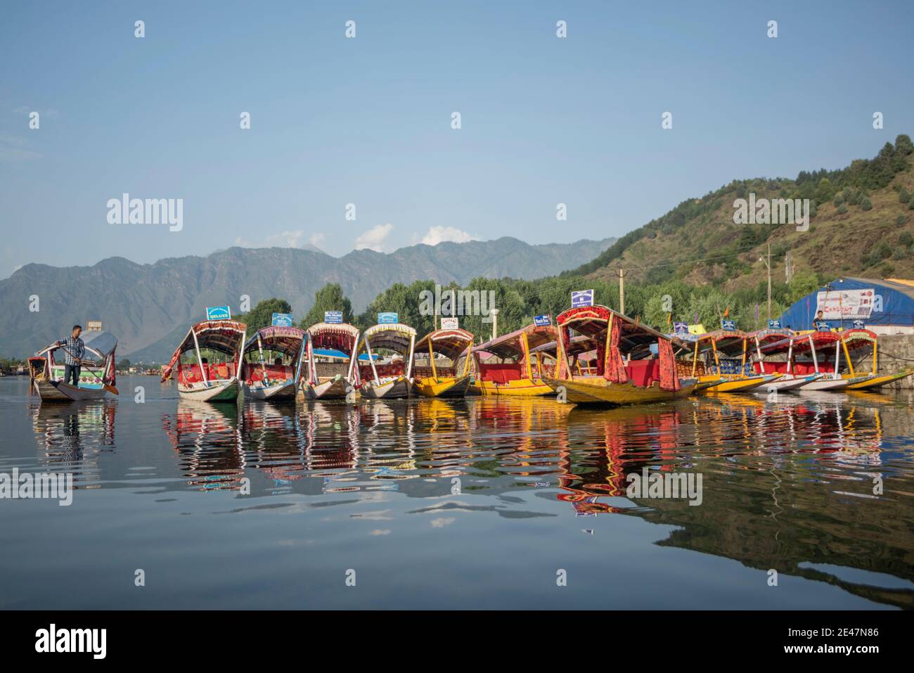 Dal Lake, Kashmir, India, 2 agosto 2014. Colouful Shikaras sul lago dal Foto Stock