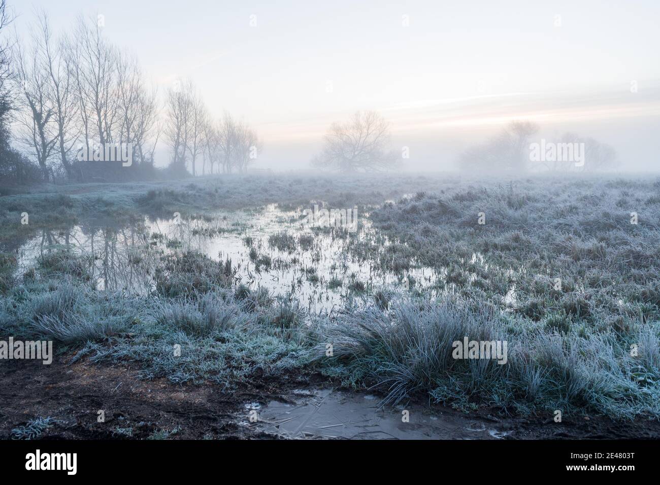 Avon Valley, Burgate, Fordingbridge, New Forest, Hampshire, UK, Venerdì 22 gennaio, 2021, Meteo: Un gelo duro in campagna la mattina presto. Le temperature più fredde della media portano la prospettiva di una certa neve nelle contee della costa meridionale durante il fine settimana. Credit: Paul Biggins/Alamy Live News Foto Stock