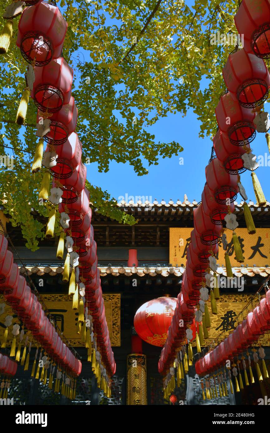 Tempio Juehai, Jiaxing. Lanterne rosse colorate e odore di incenso bruciante. Se vi visitate, vi insisteranno a stare e a mangiare con loro. Foto Stock