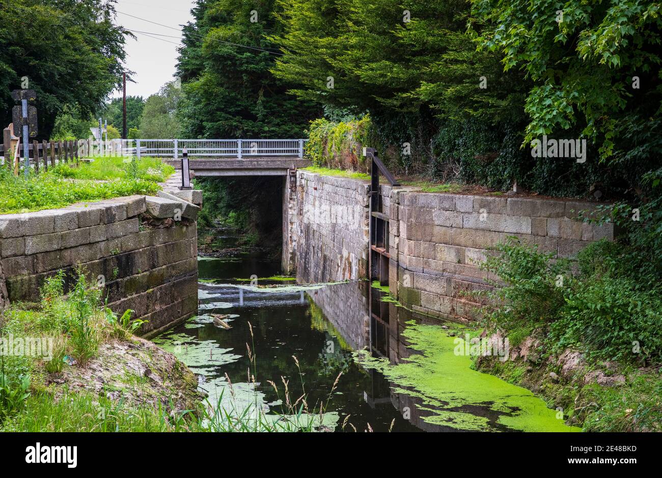 newry Canal, Irlanda del Nord Foto Stock