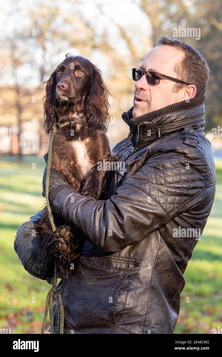 Northampton, Regno Unito, 22 gennaio 2021. Una mattina soleggiata ad Abington Park per gli escursionisti del cane fuori godendo il bel tempo, foto Lloyd Carrington e il suo animale domestico Peanut uno spagnolo color cioccolato ottenere in esercizio quotidiano. Credit: Keith J Smith./Alamy Live News Foto Stock