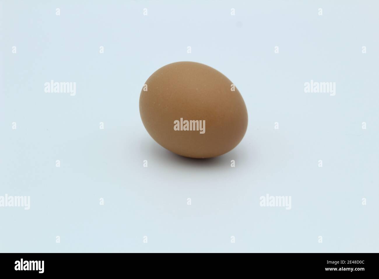 Un singolo uovo di gallina marrone macchiato su una pianura bianca sfondo sdraiato sul lato Foto Stock