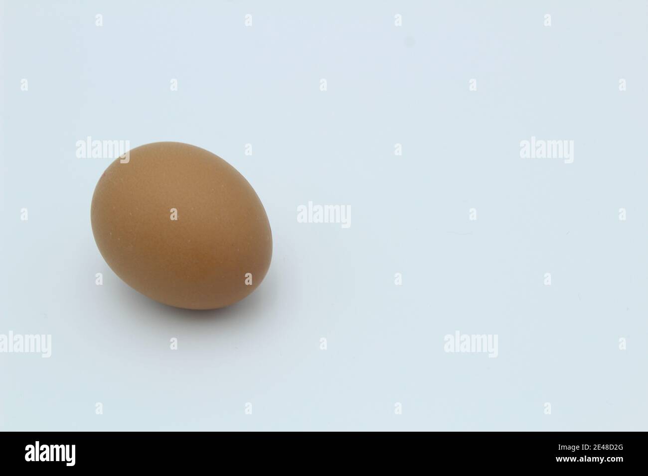 Un singolo uovo di gallina marrone macchiato su una pianura bianca sfondo sdraiato sul lato Foto Stock