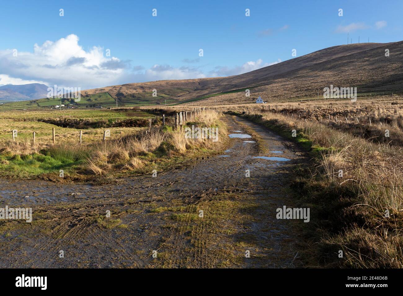 Corsia di campagna irlandese, vicino a Portmagee, County Kerry Foto Stock