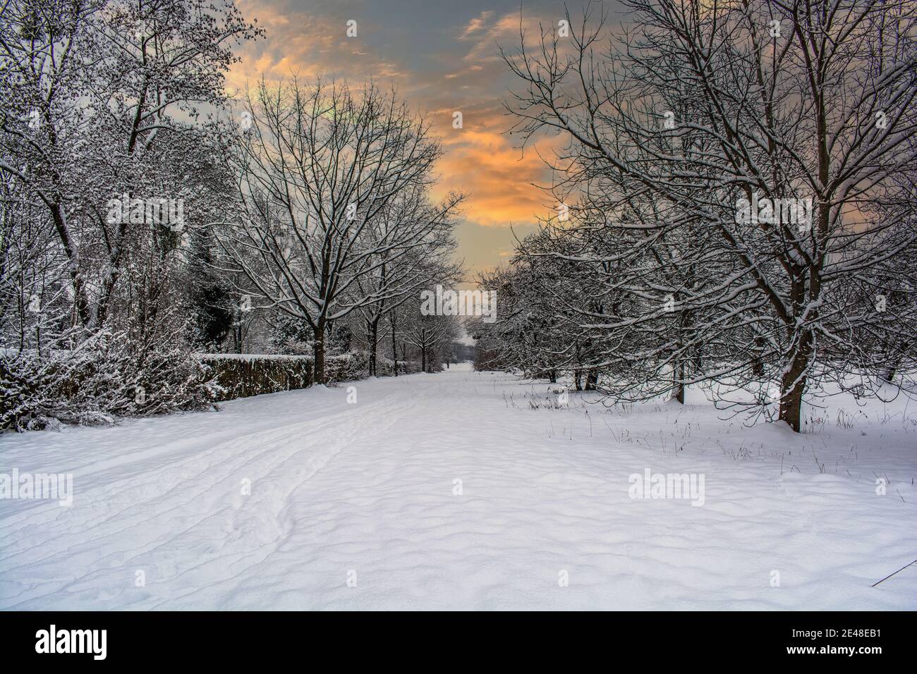 DE - Baden-Württemberg : Passeggiate nella neve Foto Stock