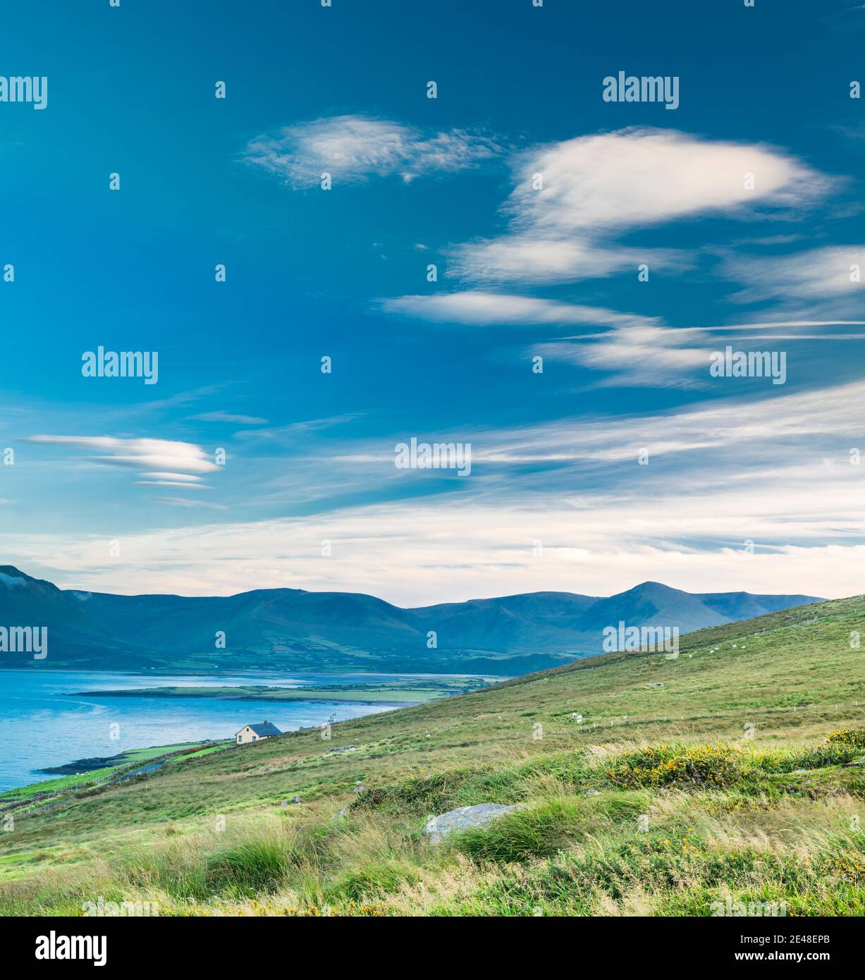 Vista su Brandon Bay da Brandon Head verso le montagne del centro di Dingle Penisula, contea di Kerry, Irlanda Foto Stock