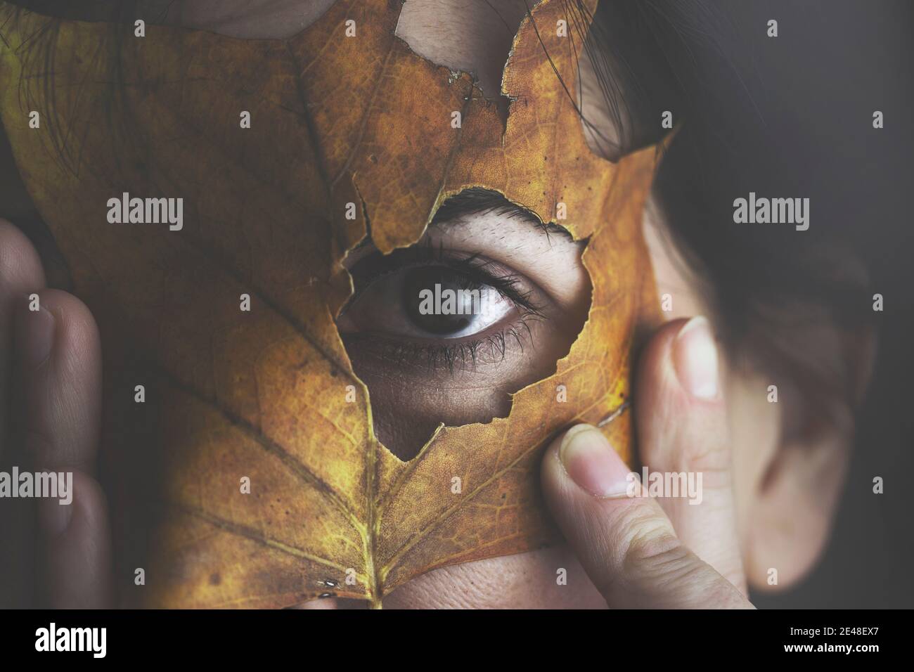 donna nasconde il suo volto con una foglia d'autunno, ritratto artistico e creativo Foto Stock
