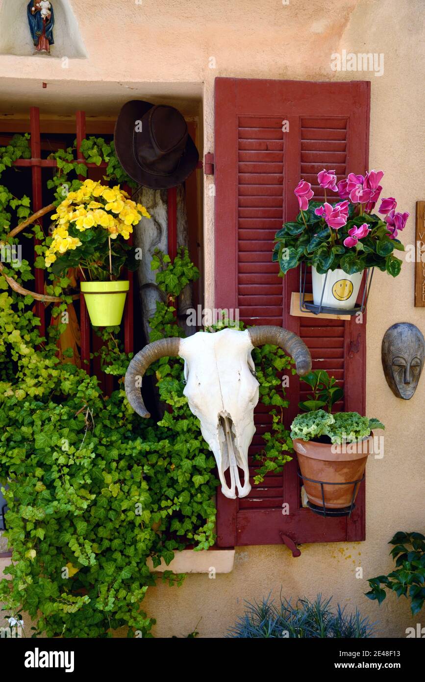 Finestra colorata e persiane decorate con finestre e toro Cranio e corni nella città vecchia di Cassis Provenza Francia Foto Stock