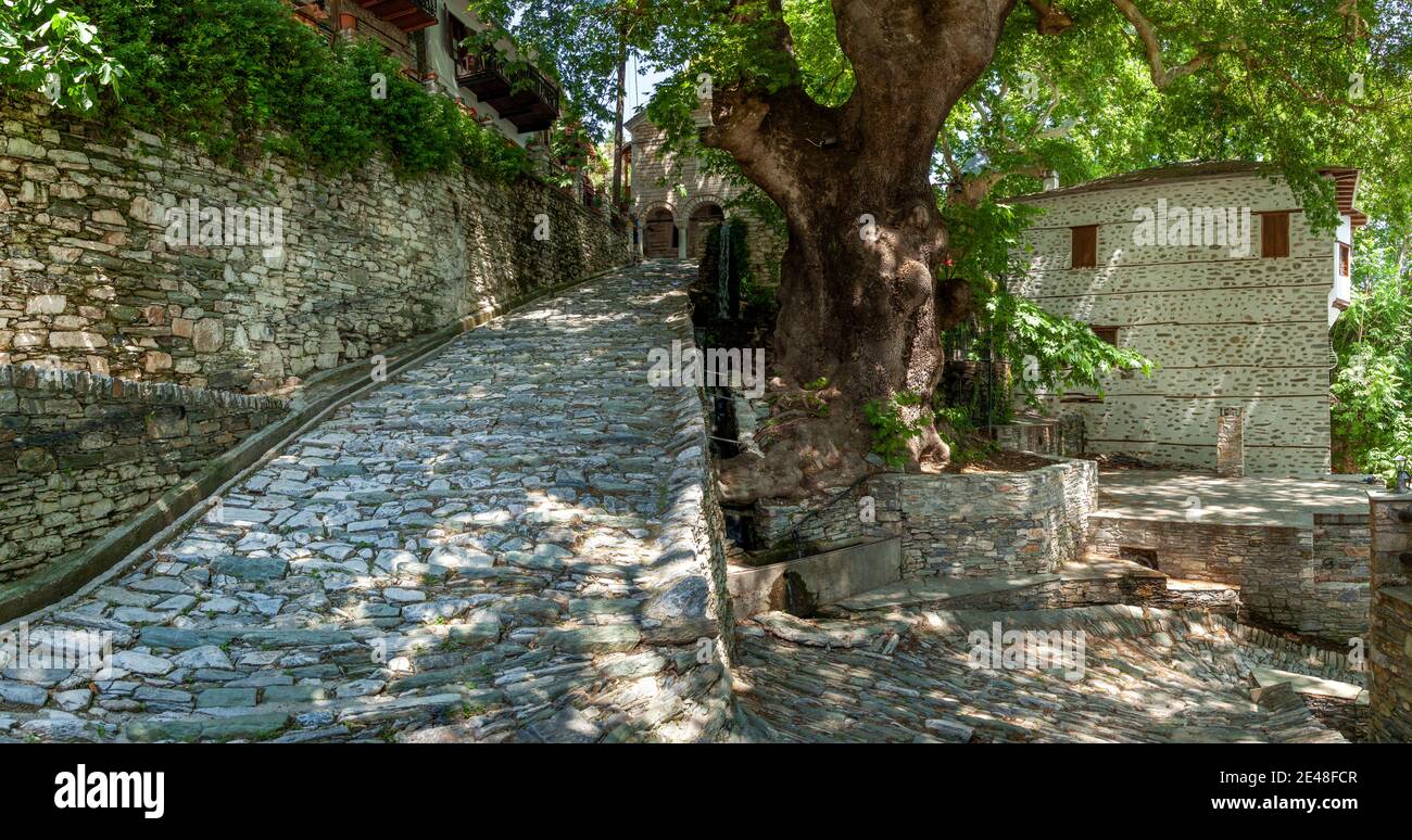 Makrinitsa villaggio, un bellissimo villaggio costruito in pietra, sul Monte Pelio, regione della Tessaglia, Grecia, Europa. Foto Stock