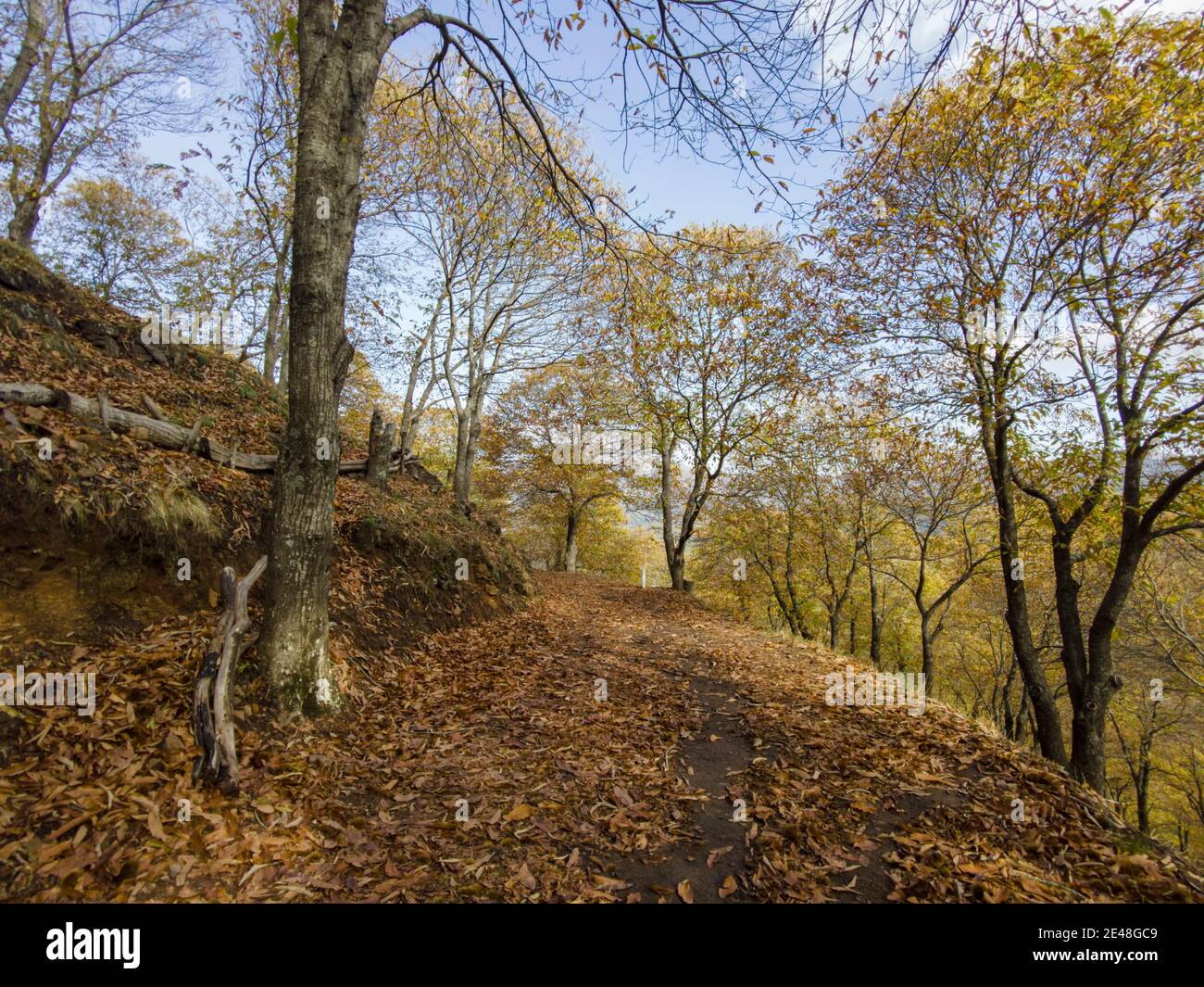 Stagione autunnale nella valle del Genal, Andalusia Foto Stock