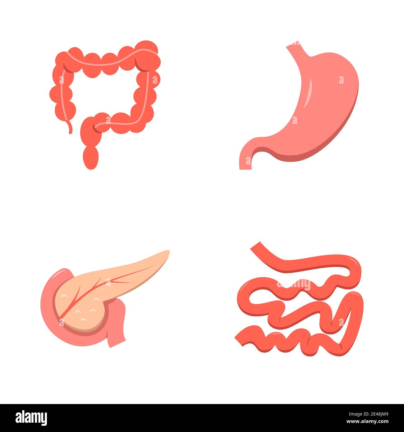 Icona del sistema digestivo in stile piatto. Piccoli e grandi intestini, stomaco e pankreas simboli. Organi interni umani. Illustrazione vettoriale. Illustrazione Vettoriale