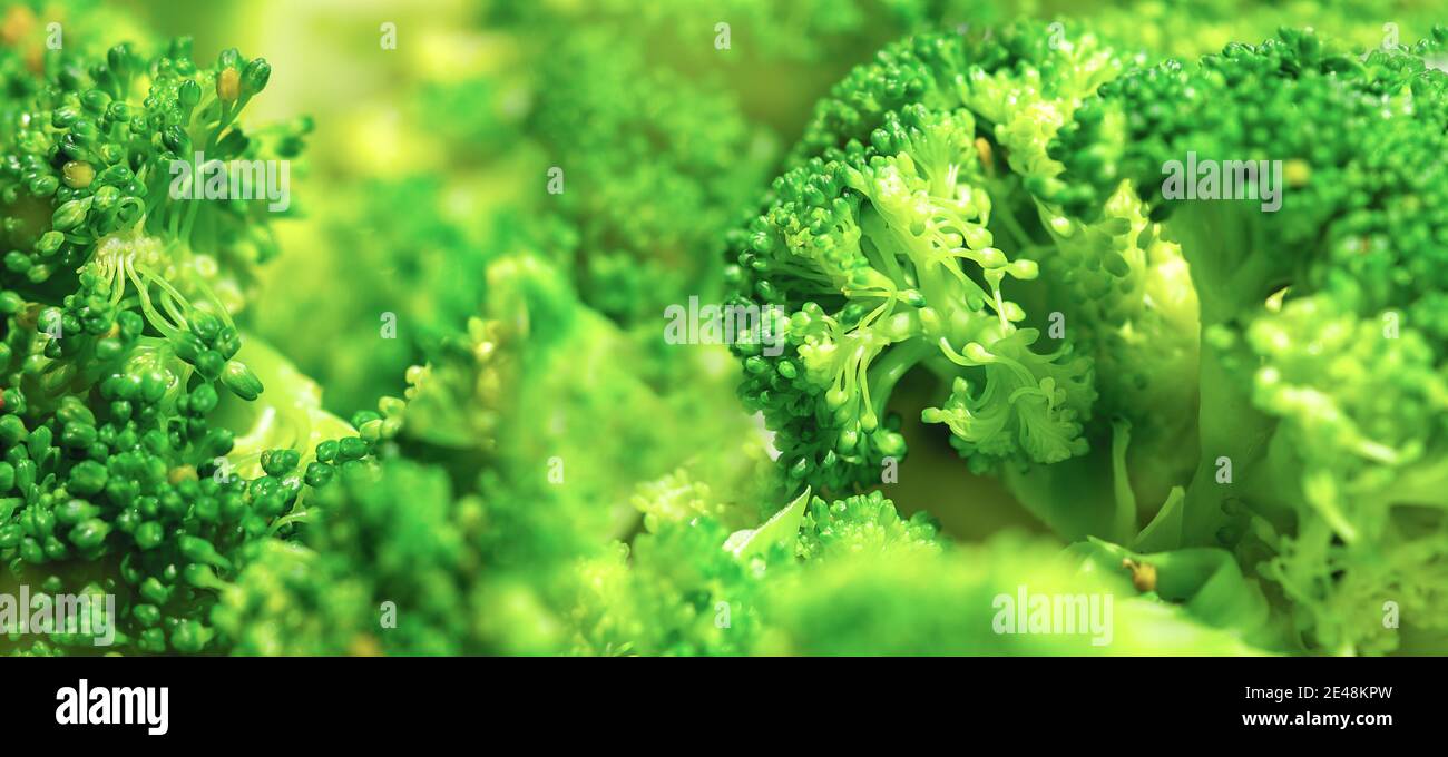 Immagine panoramica dei broccoli. Foto Stock