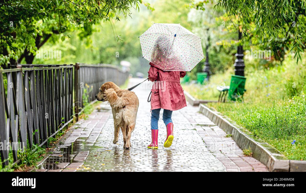 Bambina che cammina cane sotto la pioggia Foto Stock