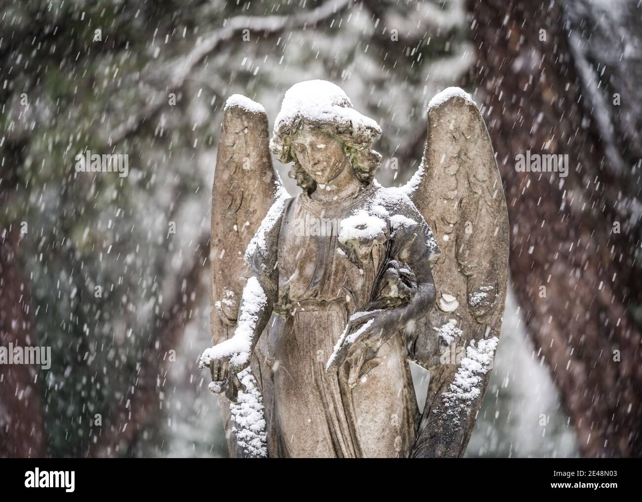 Statua di angelo lapide in previsione neve inverno nevicata pacifica Dicembre cimitero con ali di pietra e boschi sistemati in cima ali Foto Stock