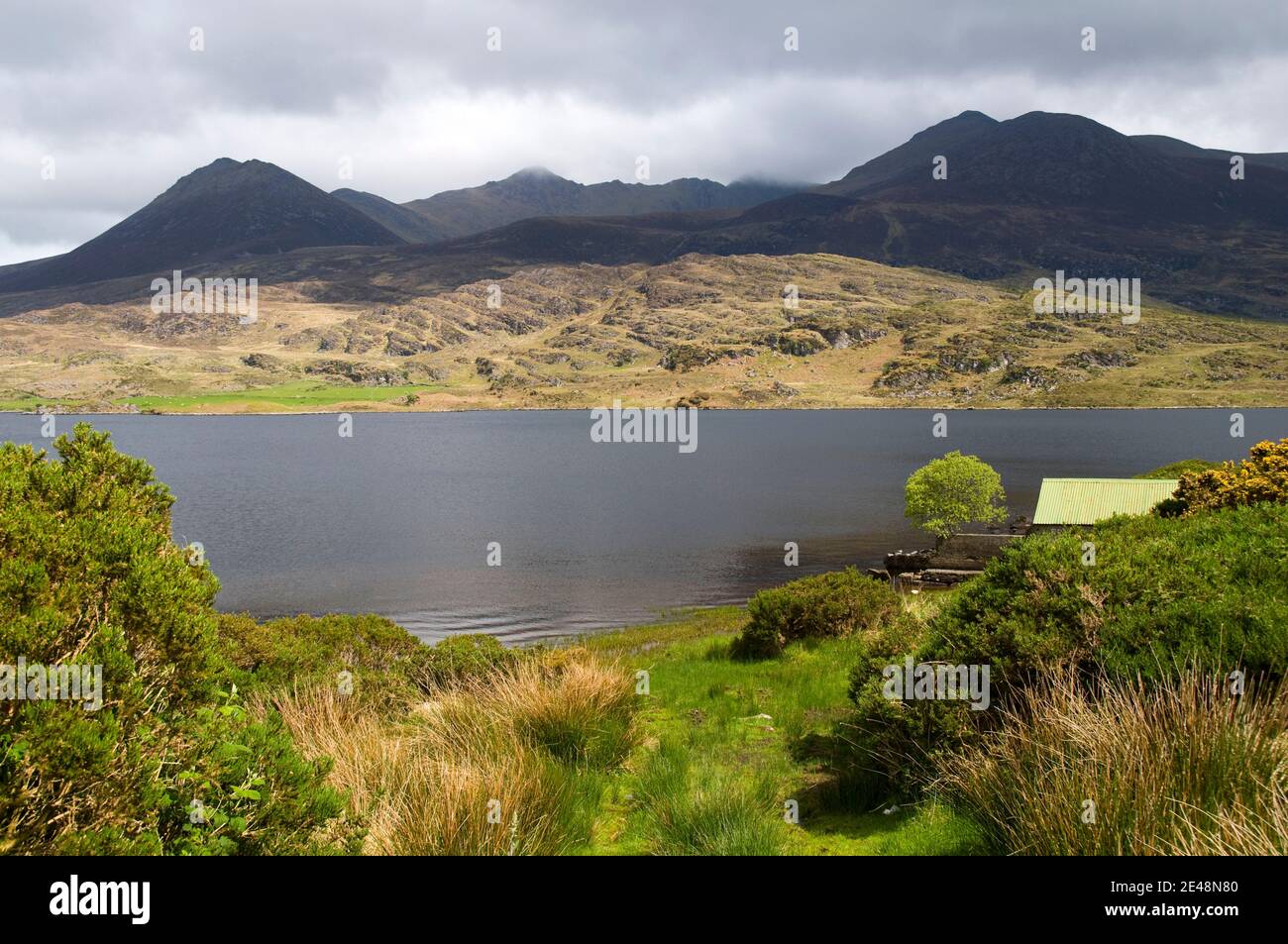 La MacGillicuddy Reeks da Lough Acoose, Kerry, Irlanda Foto Stock