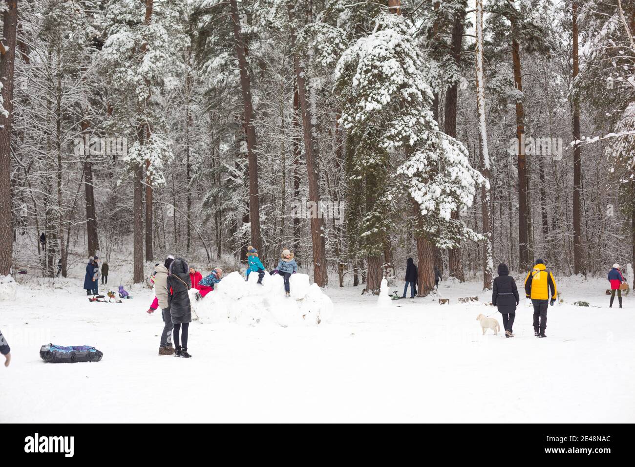 Le persone camminano nella foresta invernale innevata con le loro famiglie, con sci, slitte, tubing gonfiabili, roll down Hill, costruire fortezza e un pupazzo di neve. Inverno fuori Foto Stock