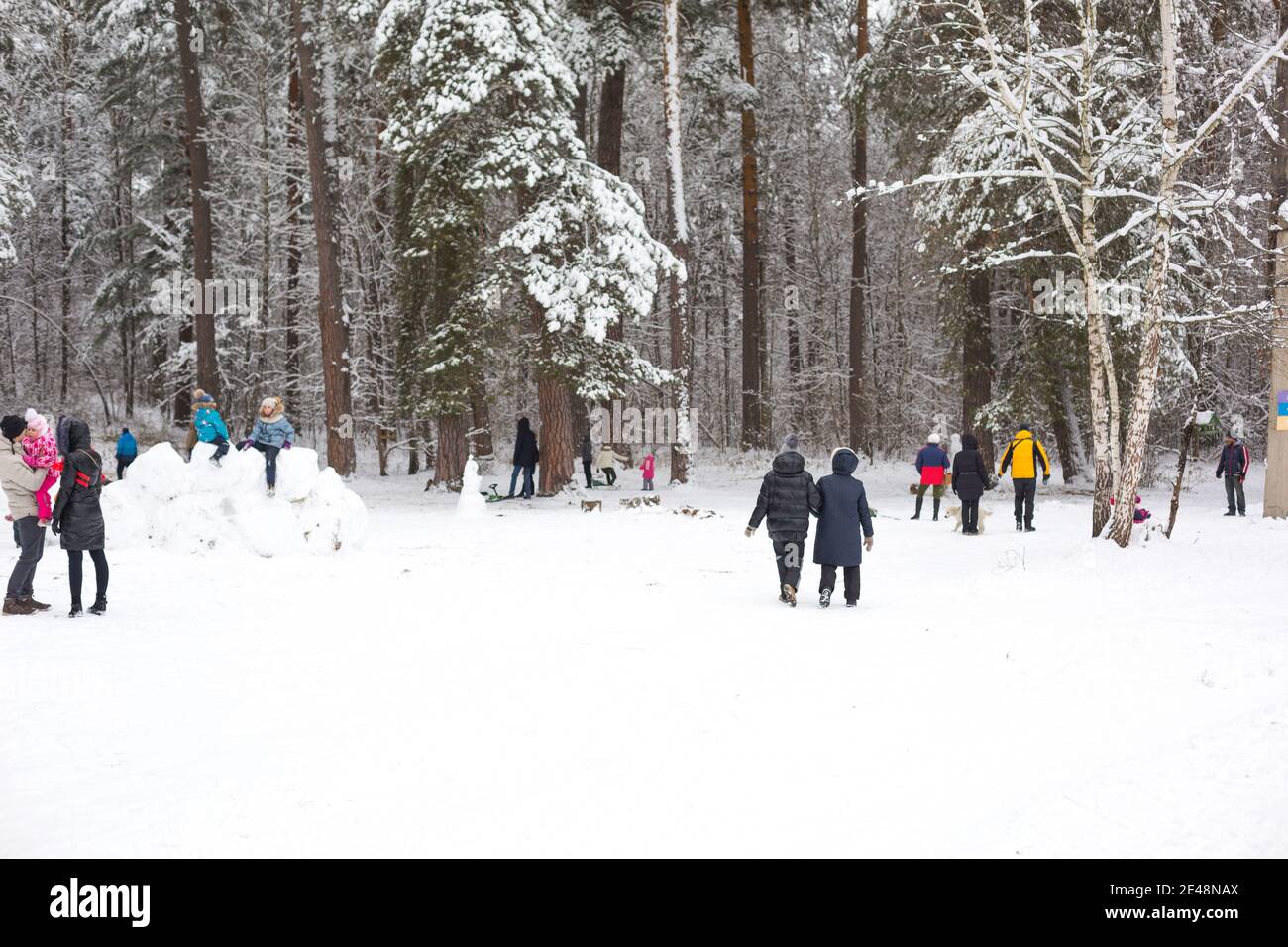 Le persone camminano nella foresta invernale innevata con le loro famiglie, con sci, slitte, tubing gonfiabili, roll down Hill, costruire fortezza e un pupazzo di neve. Inverno fuori Foto Stock