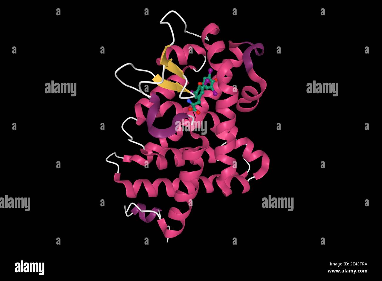 Interazioni del recettore dell'ormone tiroxina-tiroideo, modello di cartone animato 3D, sfondo nero Foto Stock