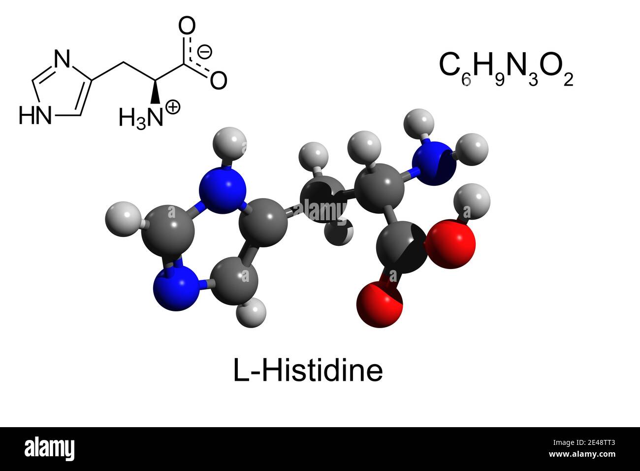 Formula chimica, formula scheletrica e modello 3D a sfera e bastone di L-istidina, un aminoacido essenziale, fondo bianco Foto Stock