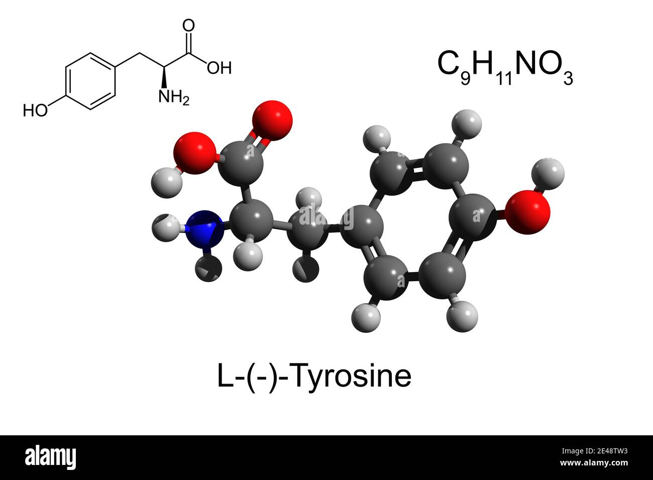 Formula chimica, formula scheletrica e modello 3D di L-tirosina, un aminoacido essenziale, fondo bianco Foto Stock