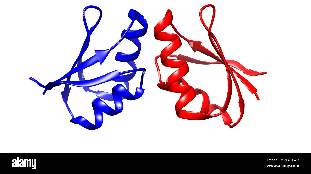 Struttura cristallina di homodimero di rame umano, modello di cartone animato 3D, sfondo bianco Foto Stock