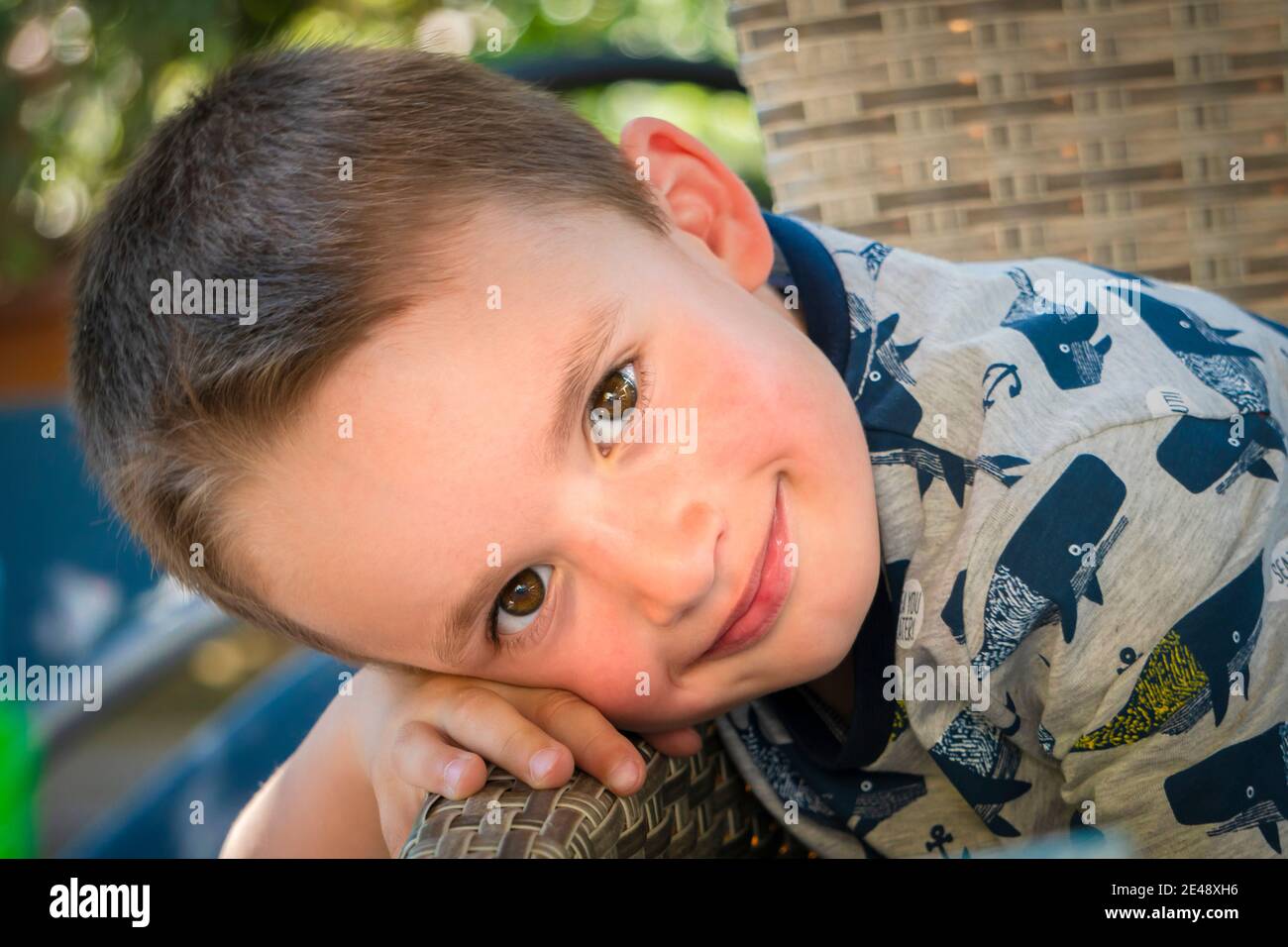 Ragazzo, ritratto Foto Stock