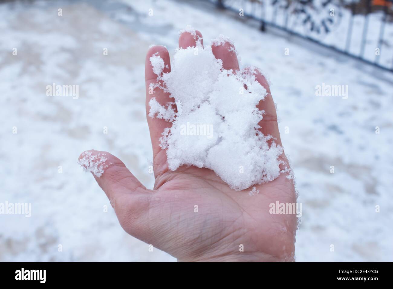 Primo piano mano uomo che tiene la neve. Mano rossa da neve fredda. Concetto invernale. Foto Stock