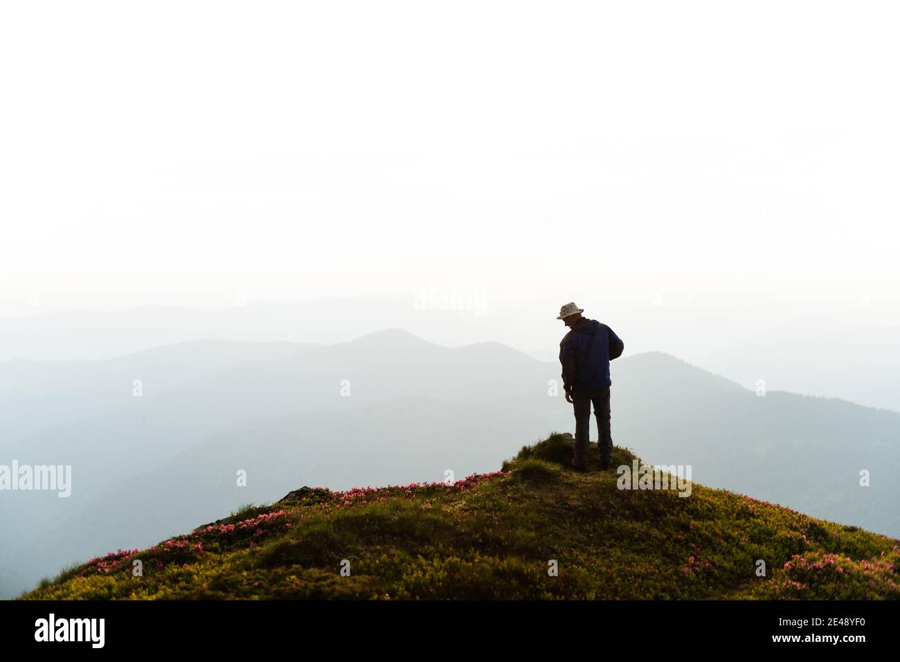 Un soggiorno turistico sul bordo di una scogliera coperta da un tappeto rosa di fiori rododendri in estate. Montagne nebbose sullo sfondo. Fotografia di paesaggio Foto Stock