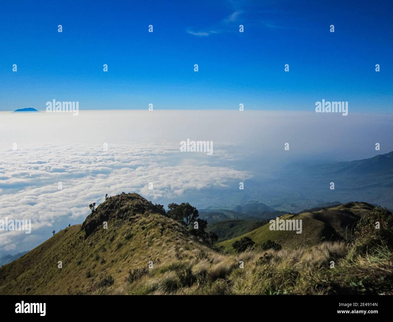 Vista mattutina del Monte Merapi dalla cima del Monte Merbabu in Giava Centrale, Indonesia. Foto Stock